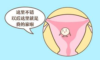 子宫内膜增生可以做试管婴儿吗?子宫内膜增生怎么治疗