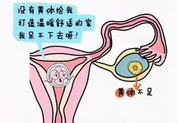 怀孕13周突然停黄体酮要紧吗?孕十三周还要吃黄体酮吗