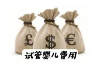 2024试管婴儿医院收费明细,费用报销政策都在这里