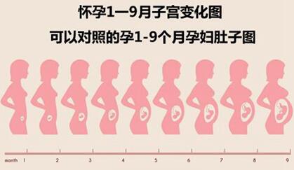 孕20周子宫大小变化,子宫大小和哪些因素有关