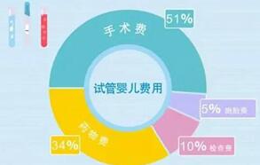 2024泰国试管婴儿医院收费费用一览表,各项目支出一目了然