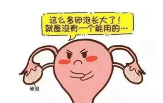 试管促排只取了4个卵泡怎么办?及时调理也能成功受孕