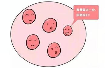 试管促排卵泡不长怎么回事?这三种应对措施要做好