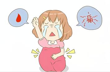 石家庄供卵公司