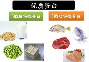 多吃高蛋白的食物有什么好处?蛋白质对孕妇的作用