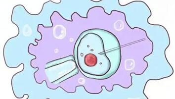 试管婴儿对女性的危害有多大?这几种危害女性要了解清楚