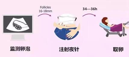 试管取卵夜针忘了打怎么办?要及早发现和正确处理