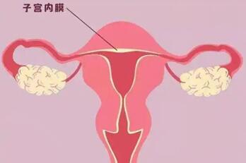 怀孕后子宫内膜变化,怀孕的子宫内膜和没有怀孕的子宫内膜一样吗