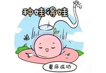 试管移植成功后如何吃中药保胎提高胚胎着床率?这些好方子别错过