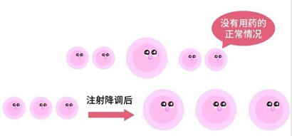 试管移植前打降调针的作用是什么?你知道吗