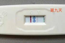移植第9天成功最明显的征兆是什么?出现这几个症状就要注意了