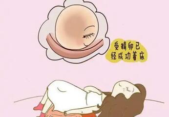 试管婴儿移植成功后常见的反应症状有哪些?