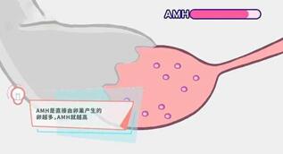 AMH值低于多少不能做试管婴儿?多少算正常