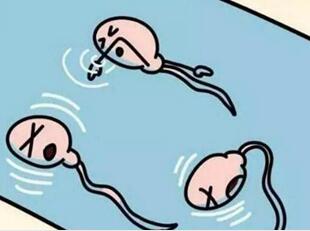 弱精总怀女孩怎么回事?弱精会对怀孕造成影响