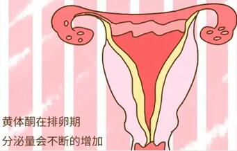 试管移植40天不用黄体酮会流产吗?如何正确使用黄体酮
