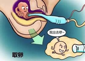 试管婴儿取卵5个是不是太少?5颗取卵可能会遇到的问题及解决方案
