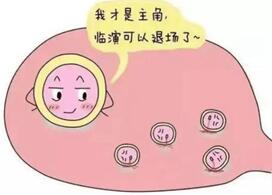 试管婴儿卵泡长到多大可以取卵?取卵条件科普
