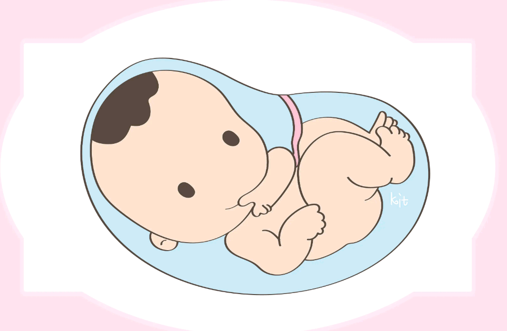 什么因素会影响试管婴儿的价格?