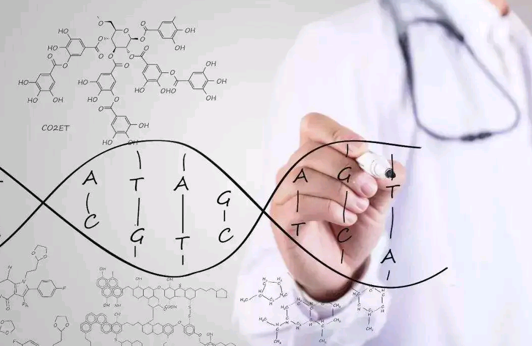 准妈妈试管移植后,什么食物是禁忌?