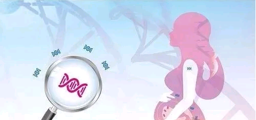 有几个窦卵泡是女性的正常卵巢