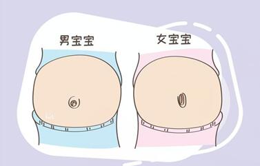 太原供卵公司
