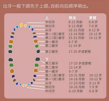 西安供卵机构流程