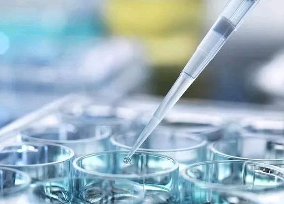 hpv检查报告单正常图片